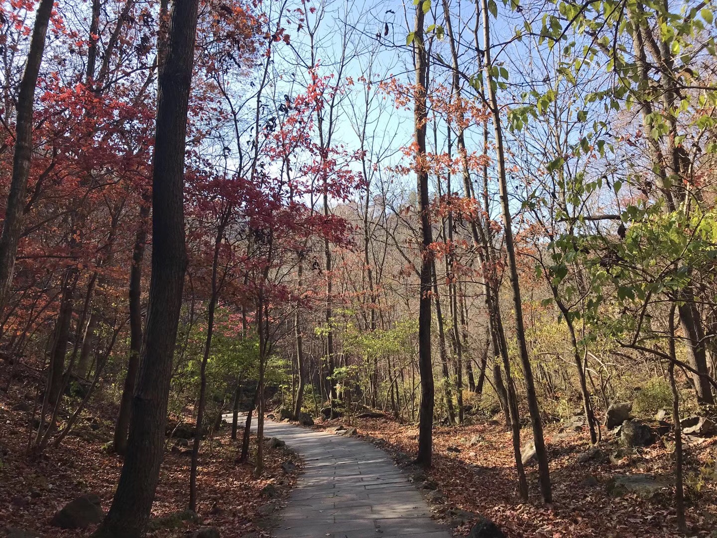 丹東青山溝/青山湖游船/虎塘溝/飛瀑澗2日游