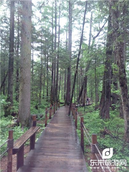 【團體專享】伊春、五營森林公園、湯旺河石林、嘉蔭茅蘭溝、恐龍地質公園、雙臥5日清肺之旅