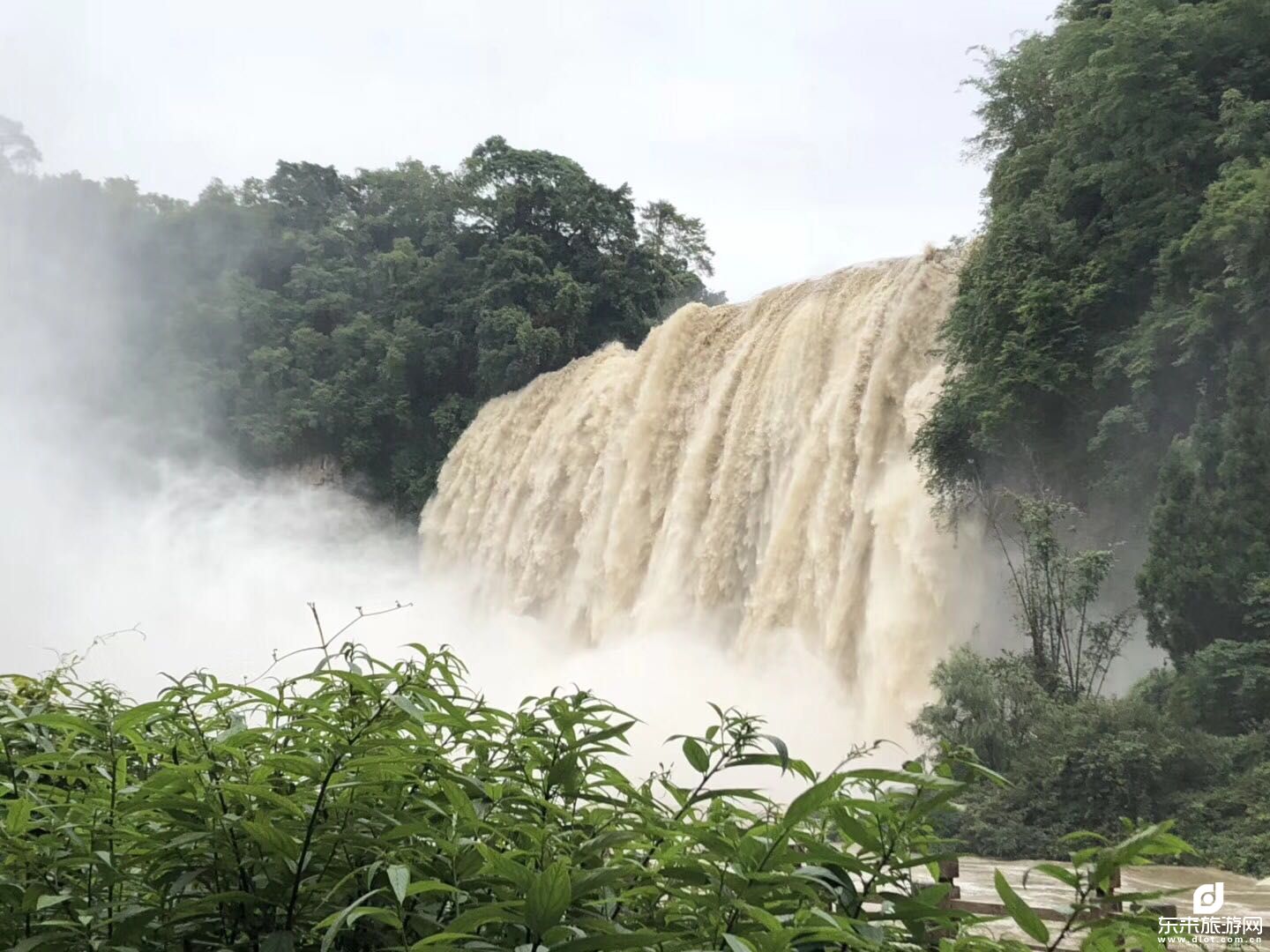 【我想去梵凈山】貴州、荔波小七孔、黃果樹(shù)瀑布、西江千戶(hù)苗寨、梵凈山雙飛六日游