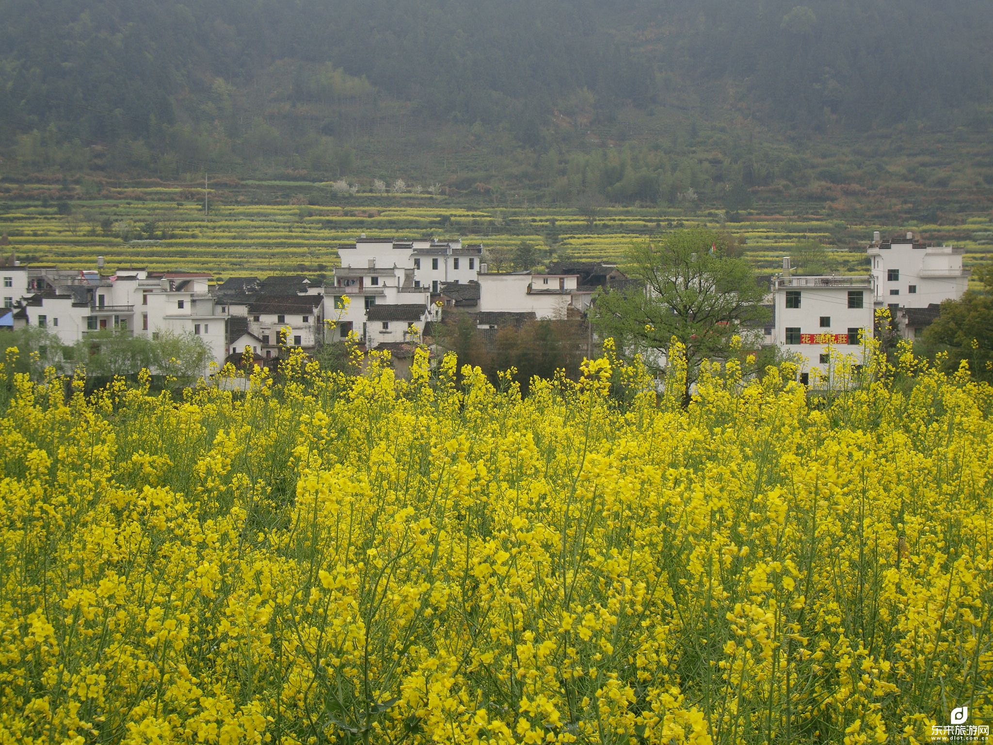 【我想去衢州婺源】衢州+婺源+ ·上饒+望仙谷+葛仙村雙飛6日