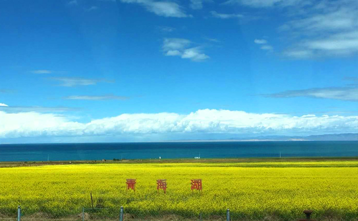 【玩轉西北】塔爾寺、青海湖、茶卡鹽湖、翡翠湖、西臺吉乃爾湖、嘉峪關、莫高窟、 張掖七彩丹霞、2飛8日